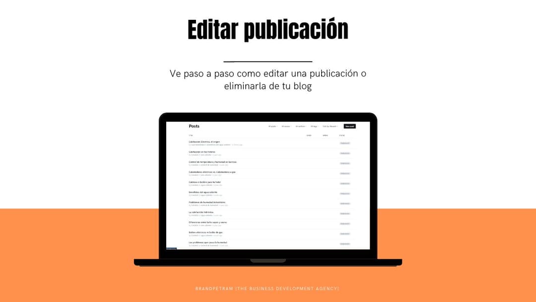 Editar publicación